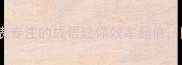 高效学习必备10个表专注的成语让你效率翻倍附职场学生党必学技巧