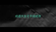 成语大全足字组成语