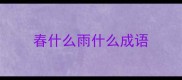 春什么雨什么成语