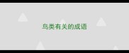 鸟类有关的成语