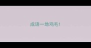 成语一地鸡毛
