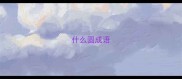 什么圆成语