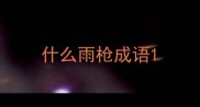 什么雨枪成语
