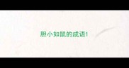 胆小如鼠的成语