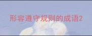 形容遵守规则的成语