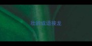壮的成语接龙