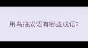 用鸟接成语有哪些成语