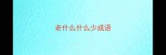 老什么什么少成语