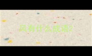 风有什么成语