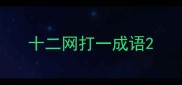 十二网打一成语