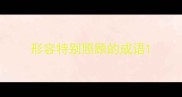 形容特别照顾的成语