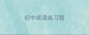初中成语练习题