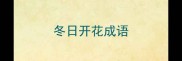 冬日开花成语