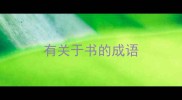 有关于书的成语