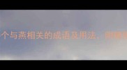 带劳迎燕10个与燕相关的成语及用法附赠搜索排名技巧