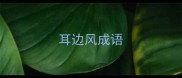 耳边风成语