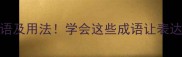 10个含放字的成语及用法学会这些成语让表达更高级成语大全