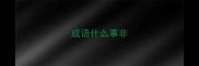 成语什么事非