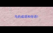 马的成语和俗语