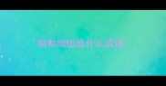 粗和细组成什么成语