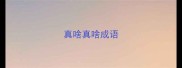 真啥真啥成语