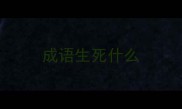 成语生死什么