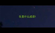 生是什么成语
