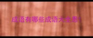 成语有哪些成语大全恩