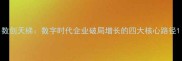 数创天梯数字时代企业破局增长的四大核心路径