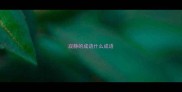 寂静的成语什么成语