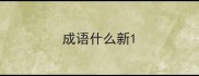 成语什么新