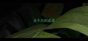 关于只的成语