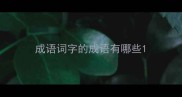 成语词字的成语有哪些