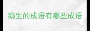 鹅生的成语有哪些成语