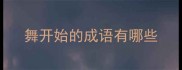 舞开始的成语有哪些