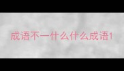成语不一什么什么成语