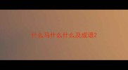 什么马什么什么及成语