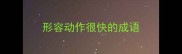 形容动作很快的成语