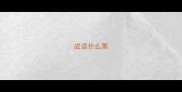 成语什么黑