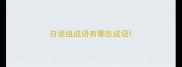 自说组成语有哪些成语