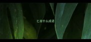 匕首什么成语