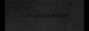 山字什么成语有哪些成语