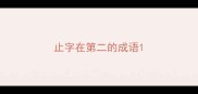 止字在第二的成语