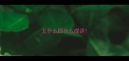 五什么四什么成语