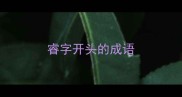 睿字开头的成语