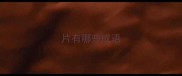 片有哪些成语