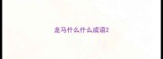 龙马什么什么成语