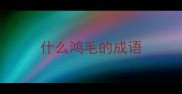 什么鸿毛的成语