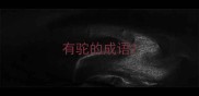 有驼的成语