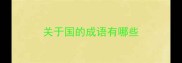 关于国的成语有哪些